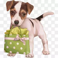 小狗品种杰克罗素猎犬png图片剪辑艺术-小狗