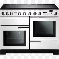 Aga朗姆斯特集团烹饪系列感应烹饪炉子经典豪华110双燃料炉子专业加100双燃料烤箱