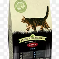 猫食小猫火鸡肉狗肉干鱼