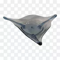 海豚产品设计-海豚