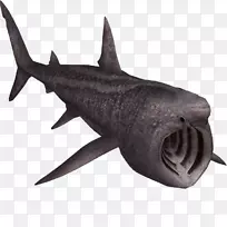 动物园大亨2安魂曲鲨鱼角形纲沐浴鲨鱼