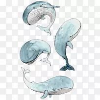 灵丹妙药画小鲸鱼水彩画插图-图标鲸