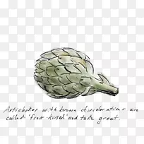 给那些不能画草图的人写一本商业画册