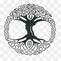 生命之树纹身凯尔特结凯尔特神圣之树-树