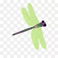 蜻蜓-谢谢绿色