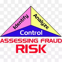 欺诈风险管理风险评估组织-风险分析