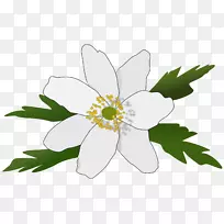 Raseborg银莲花电脑图标