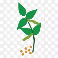 剪贴画植物茎普通豆科植物png图片.Cuerda