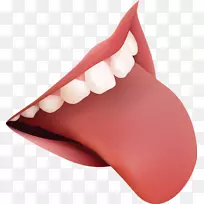 舌夹艺术png图片解剖味蕾舌