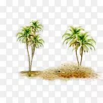 亚洲棕榈椰子枣棕榈树硼砂椰子