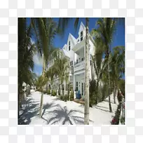 棕榈树地产别墅冬季旅游-基韦斯特