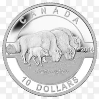 加拿大落基山脉皇家加拿大铸币金币银币硬币