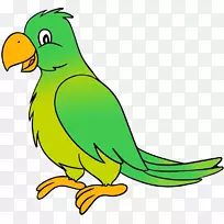 新几内亚鹦鹉夹艺术鸟鹦鹉