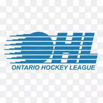 2017年-18 OHL赛季魁北克省大初级曲棍球联赛2016-17 OHL赛季温莎斯皮特火尼亚加拉IceDogs-曲棍球标志
