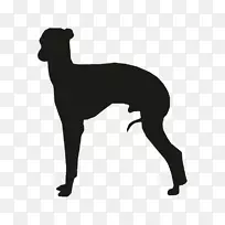 意大利灰猎犬Ibizan猎犬剪贴画-剪影