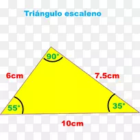 三角区斜角肌.三角形