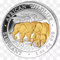 非洲象币印度象金象硬币