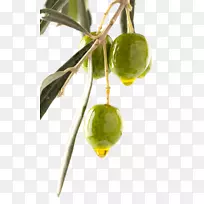 橄榄油可以储存照片中的橄榄枝-橄榄