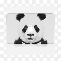 大熊猫艺术图形设计插图设计