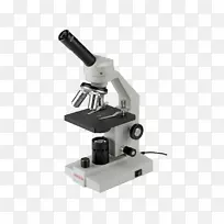 扫描隧道显微镜发明光学显微镜单目显微镜