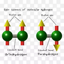 氢分子自旋异构体化学分子