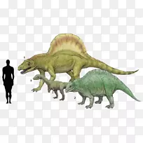 暴龙、龙-动物恐龙