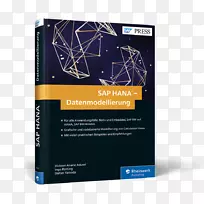 在SAP Hana sap se sap NetWeaver业务仓库中实现sap业务套件-die neue einfühung：内存技术，Werkzeuge，datenbeschaffung und datenmodel lierung-海报封面