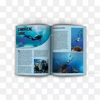 旅游杂志海洋生物网页布局海洋旅游广告牌模板