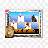 神的镜子领袖版非洲动物园画框-非洲