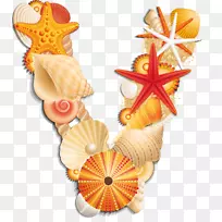 海贝壳海胆字母剪辑艺术字母表-海贝壳