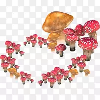 gf树可移植网络图形.核蘑菇