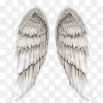 剪贴画png图片图像PSD天使-天使