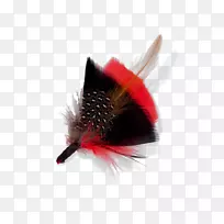 古林兄弟。帽子昆虫设计彩色羽毛材料