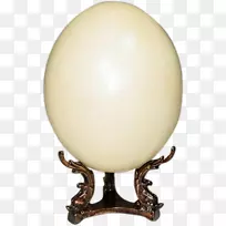 球卵-鸵鸟卵
