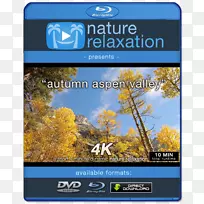 4k分辨率1080 p超高清晰电视显示分辨率-秋季新产品