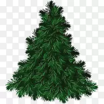 弗雷泽杉木png图片圣诞树松树