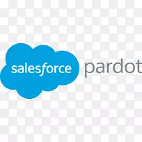 徽标PardoSalesforce.com云计算品牌-学习用品