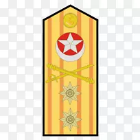 巴基斯坦海军少将军徽