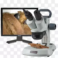 立体显微镜光学显微镜数字显微镜20x显微镜