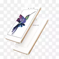 oppo neo 7 oppo数字oppo a 83 oppo f1外加显示装置埃及特色