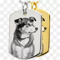 犬种小狗珠宝宠物-小狗
