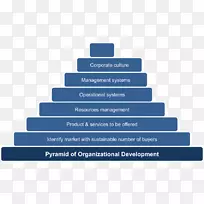 组织发展组织文化管理服务-组织框架