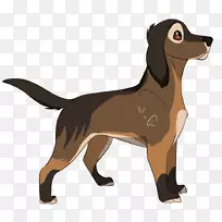 犬种小狗伴犬鼻子-温柔而安静