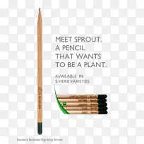 铅笔雕刻产品设计.向日葵芽的生长
