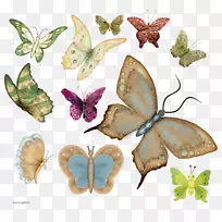 毛茸茸的蝴蝶，蚕夹艺术蝴蝶和飞蛾对称