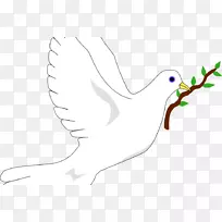 剪贴画插图鸽子作为符号形象-鸽子没有png