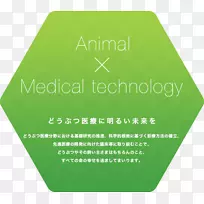 卫生技术保健安康医药宠物普通牲畜