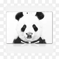 大熊猫熊t恤插图画布熊