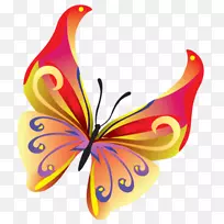 蝴蝶昆虫图形剪贴画图片蝴蝶