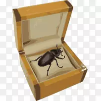 甲虫哲学剪辑艺术形象哲学家-甲虫
